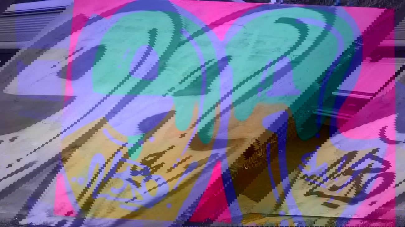 Graffiti Bombing - Photo by deinemudda