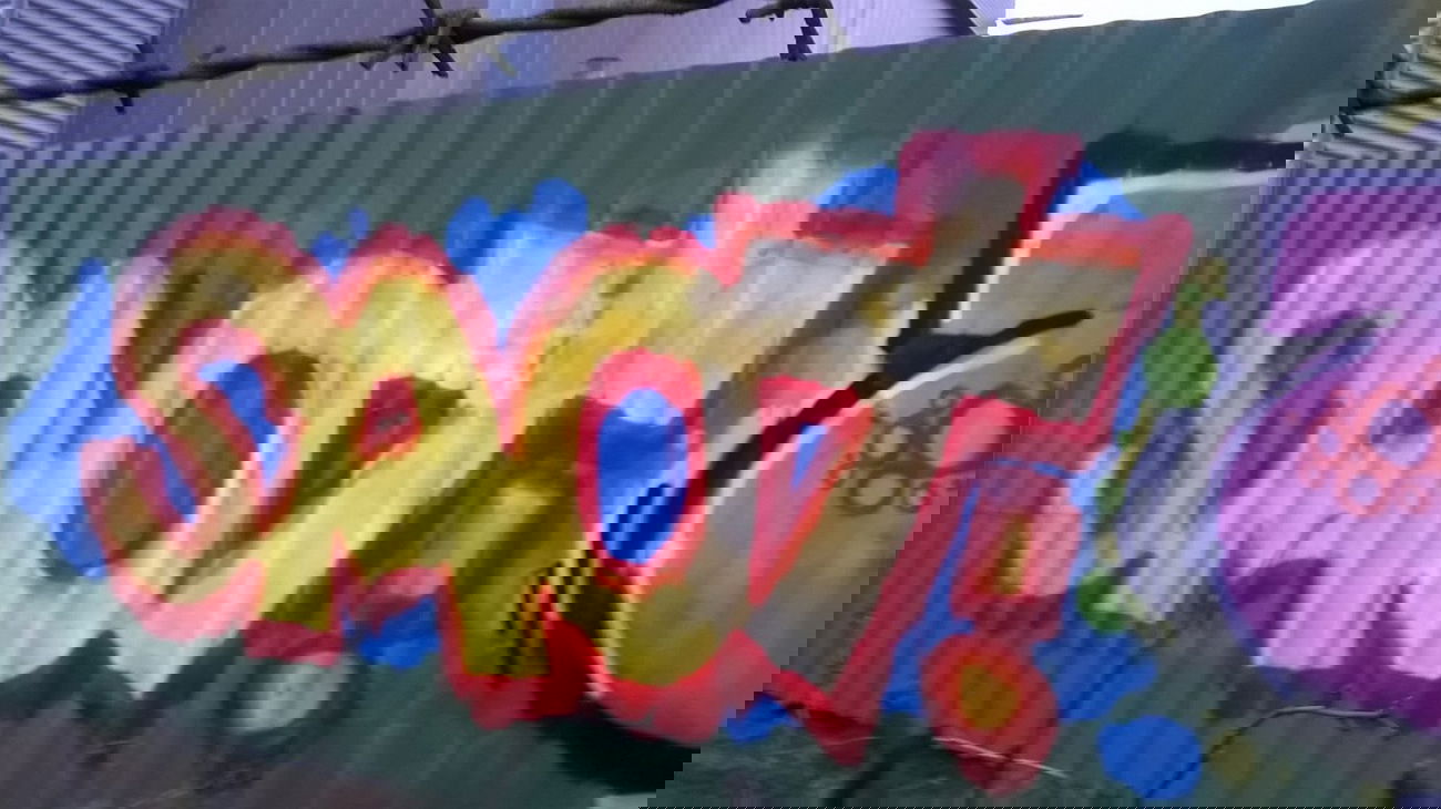 Graffiti Bombing - Photo by deinemudda