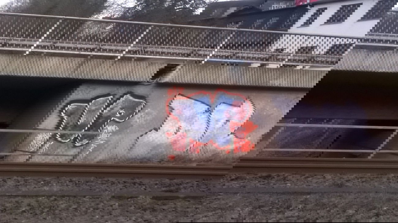 Graffiti Bombing - Photo by deinemudda