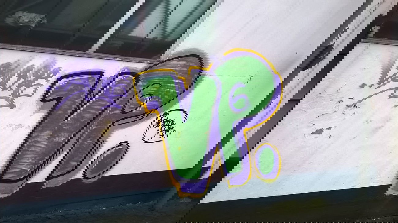 Graffiti Bombing - Photo by deinemudda