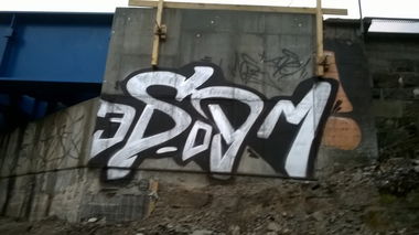 Graffiti Bombing - Photo by deinemudda