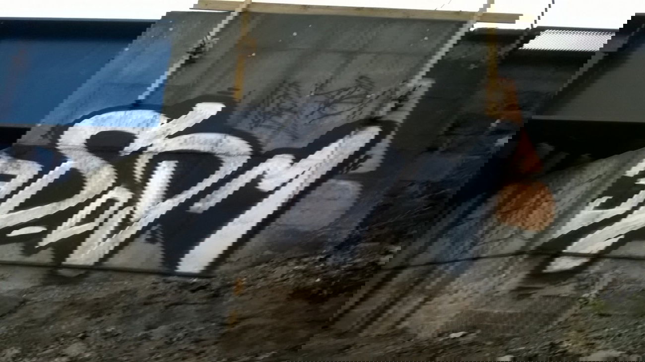 Graffiti Bombing - Photo by deinemudda