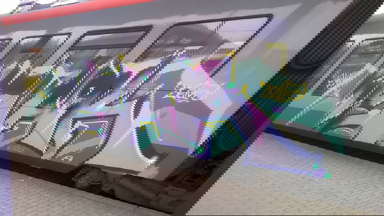 Graffiti Train - Photo by deinemudda