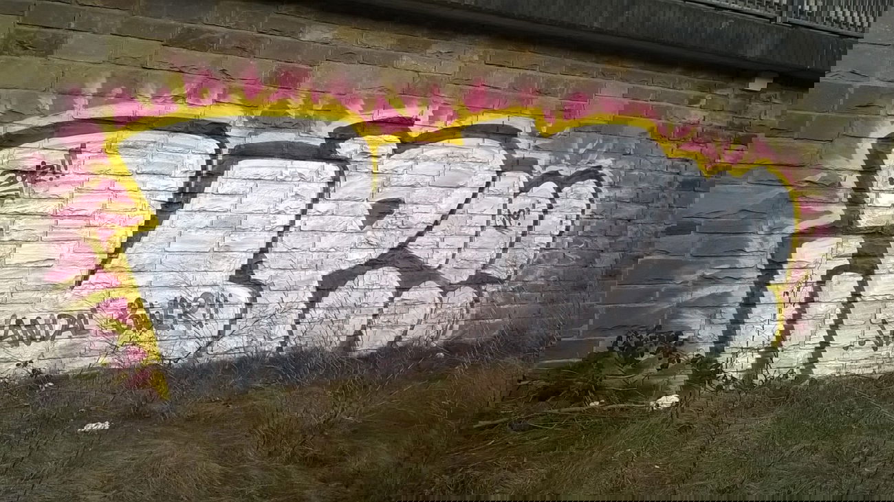 Graffiti Bombing - Photo by deinemudda