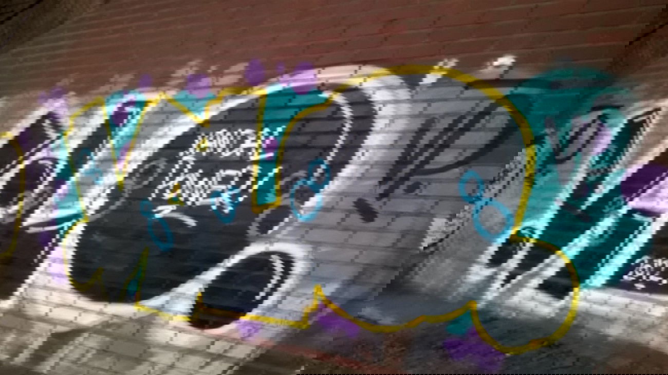 Graffiti Bombing - Photo by deinemudda