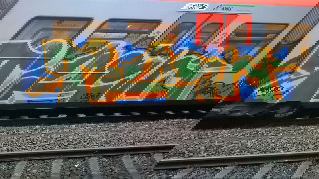Graffiti Train - Photo by deinemudda