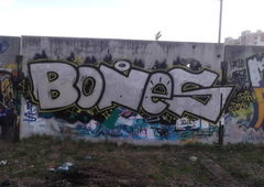 Photo #20093 by tonkocrew