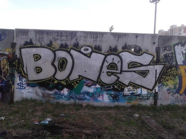 Graffiti Bombing in Sergiyev Posad - Photo by dekorow88 (2013)