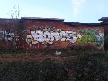 Graffiti Bombing in Sergiyev Posad - Photo by dekorow88 (2013)