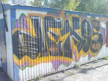 Graffiti Bombing - Photo by demos_spk - demos, demo, fsal