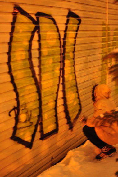 Graffiti Bombing - Photo by demos_spk - vodka, de, art