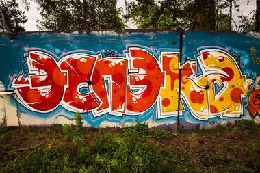 Graffiti Wall - Photo by demos_spk - vodka, de, art