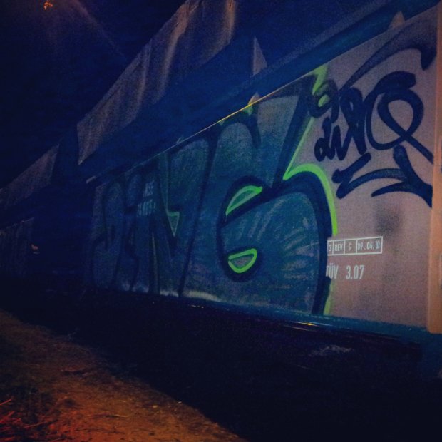 Graffiti Train - Photo by derdubstepdingo - Cargo, güter, yard (2013)