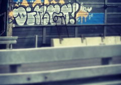 Photo #120593 by TagHagel