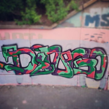 Graffiti Wall - Photo by derdubstepdingo - dingo, camouflage, hall (2014)