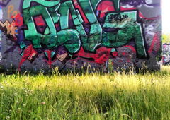 Photo #121033 by Jupiter