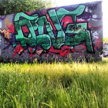 Graffiti Wall - Photo by derdubstepdingo - green, grass, summer (2014)