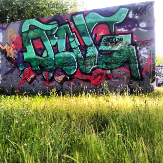 Graffiti Wall - Photo by derdubstepdingo - green, grass, summer (2014)