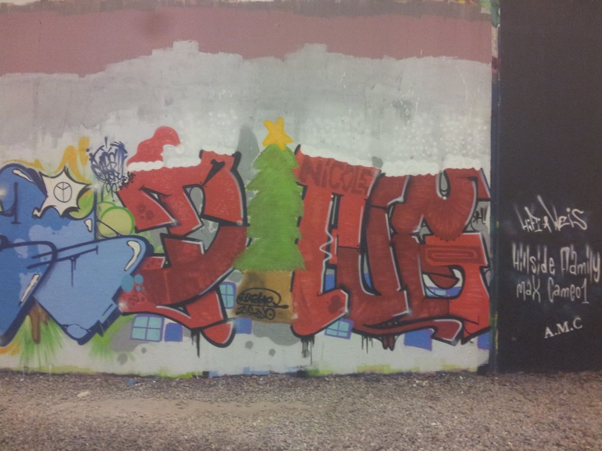 Graffiti Bombing - Photo by derdubstepdingo - ding, dingo, nikolaus (2014)