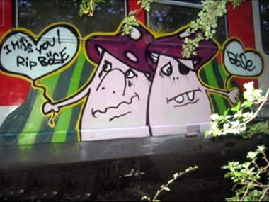 Graffiti Train - Photo by deringo - Böse, pilze, rhs