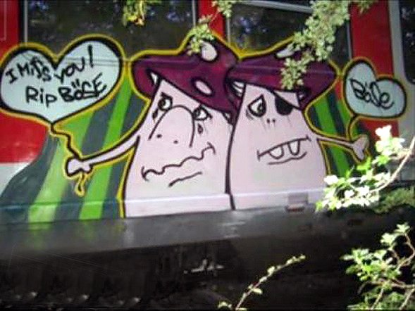Graffiti Train - Photo by deringo - Böse, pilze, rhs