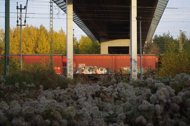 Graffiti Train - Photo by derschmock - FREIGHT