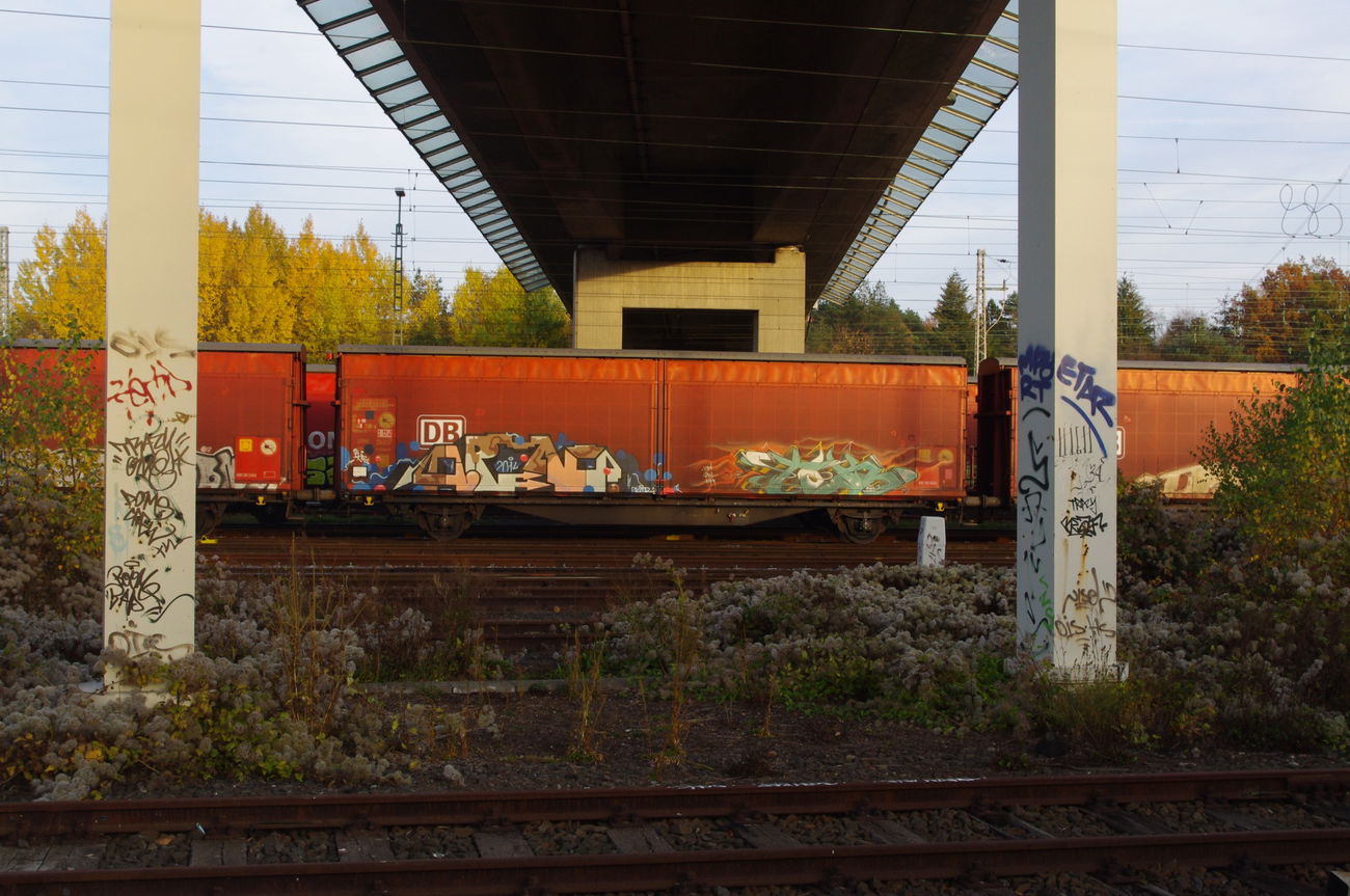 Graffiti Train - Photo by derschmock - FREIGHT