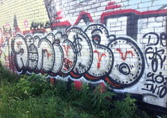 Photo #98445 by Homs