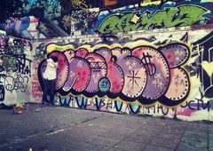 Photo #98447 by SuperJagger