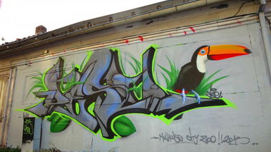 Graffiti Wall in Mulhouse - Photo by desu - desu (2013)
