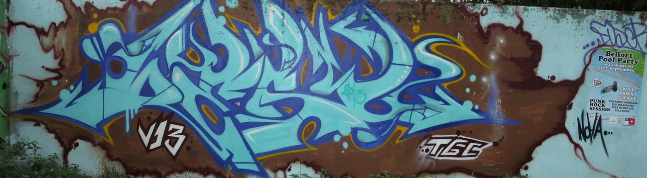Graffiti Wall in Belfort - Photo by desu - desu (2013)