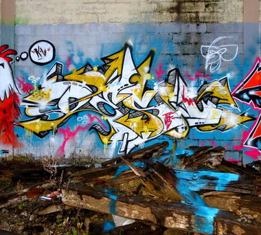 Graffiti Wall in Metz - Photo by desu - desu (2013)