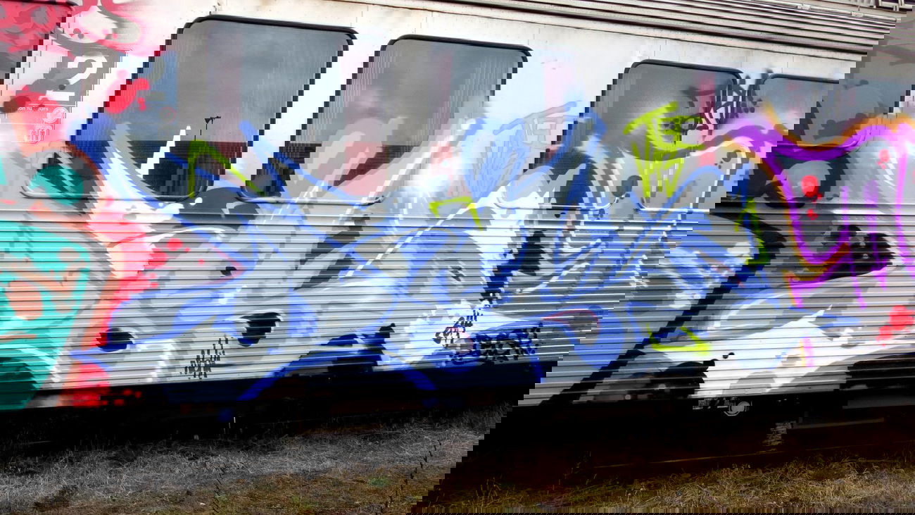 Graffiti Train - Photo by desu - desu (2014)