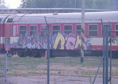 Photo #6152 by AHSCREW