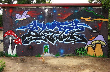 Graffiti Wall - Photo by dioe48 - blitz, cys (2014)