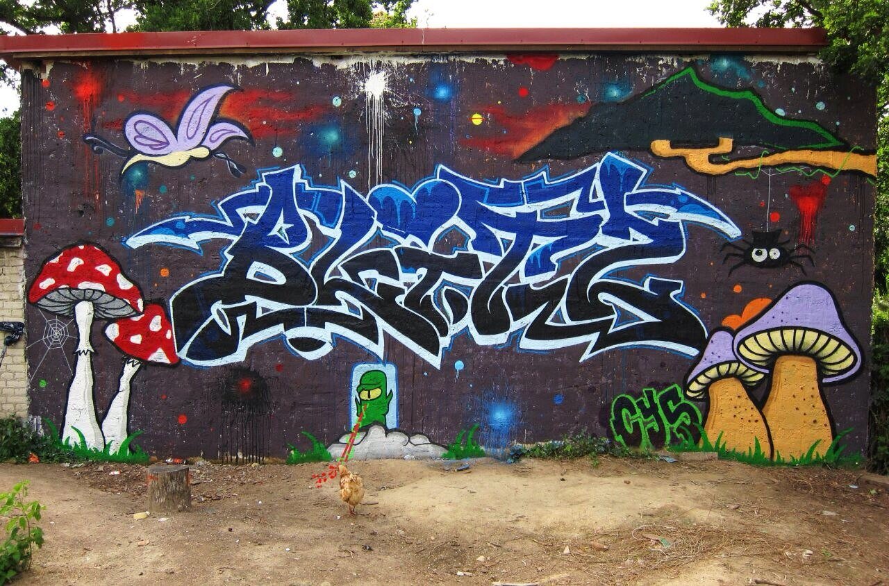 Graffiti Wall - Photo by dioe48 - blitz, cys (2014)