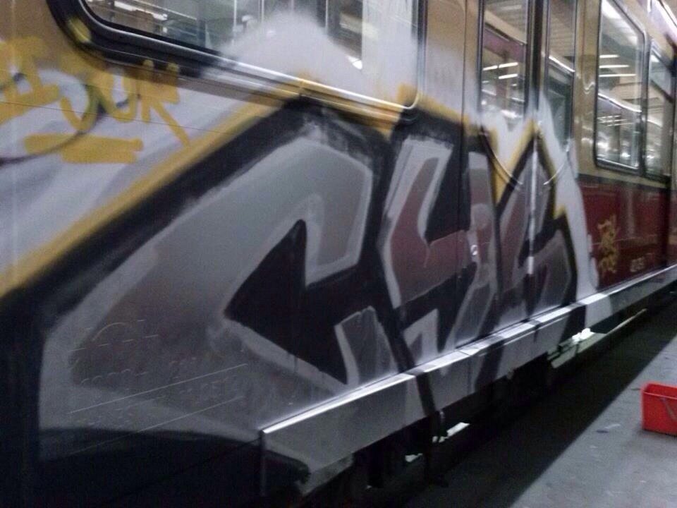 Graffiti Train - Photo by dioe48 - dioe, dio, fury (2014)