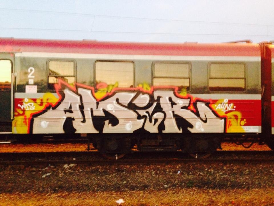 Graffiti Train - Photo by dirtistajl - amir (2014)