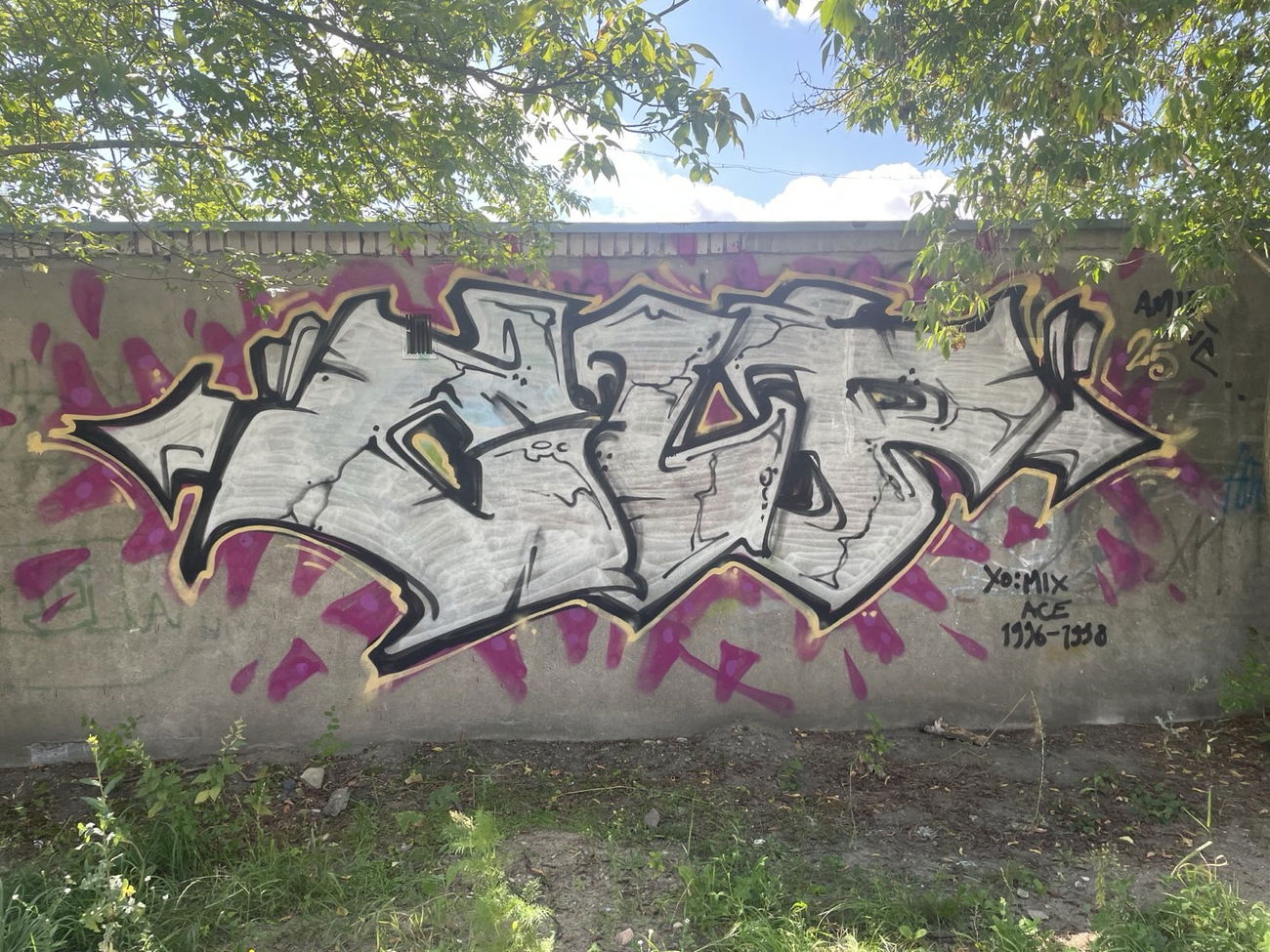 Graffiti Wall in Polska - Photo by dirtistajl - CLP, Crew, AMIR (2025)