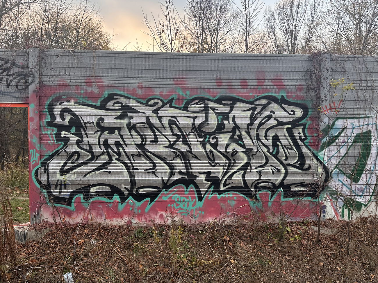 Graffiti Wall in Polska - Photo by dirtistajl - trainline (2024)