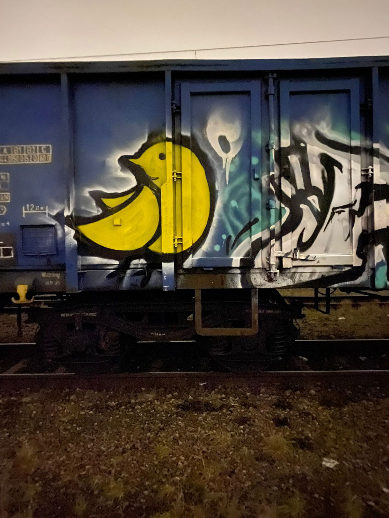 Graffiti Train in Pruszków - Photo by dirtistajl (2023)