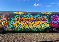 Graffiti Train in Poznań - Photo by dirtistajl - Legal, train (2026)