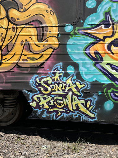 Graffiti Train in Węgry - Photo by dirtistajl - legal, train (2026)