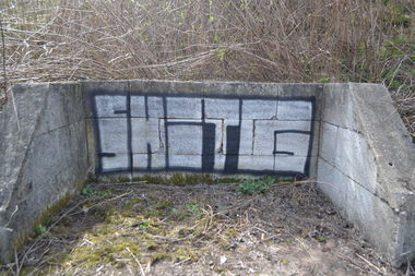 Graffiti Bombing - Photo by dirtyartterror (2016)