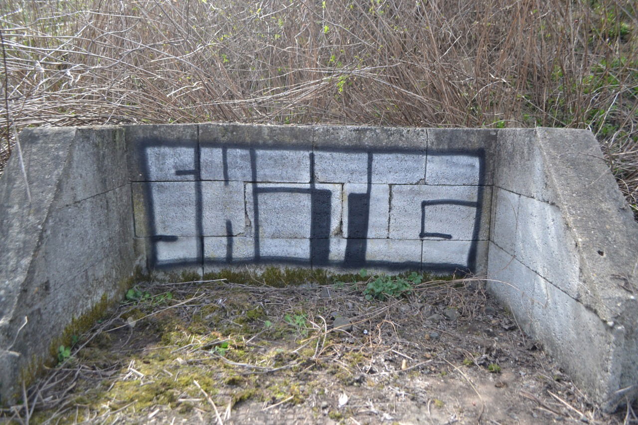 Graffiti Bombing - Photo by dirtyartterror (2016)