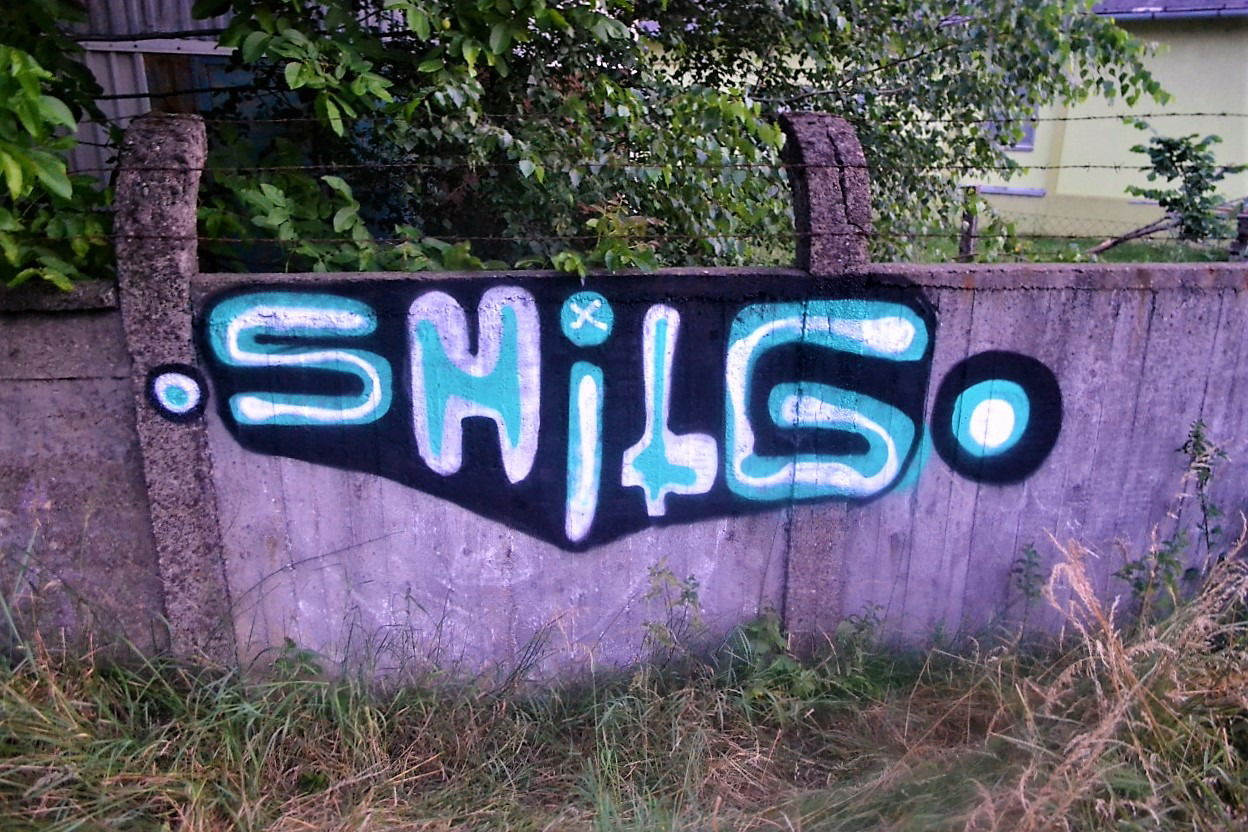 Graffiti Bombing - Photo by dirtyartterror - shitg, dat, rhl (2016)