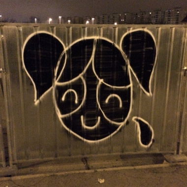 Graffiti Bombing - Photo by dirtyartterror (2016)