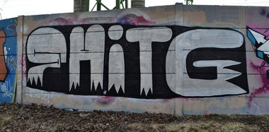 Graffiti Wall - Photo by dirtyartterror - shitg (2017)