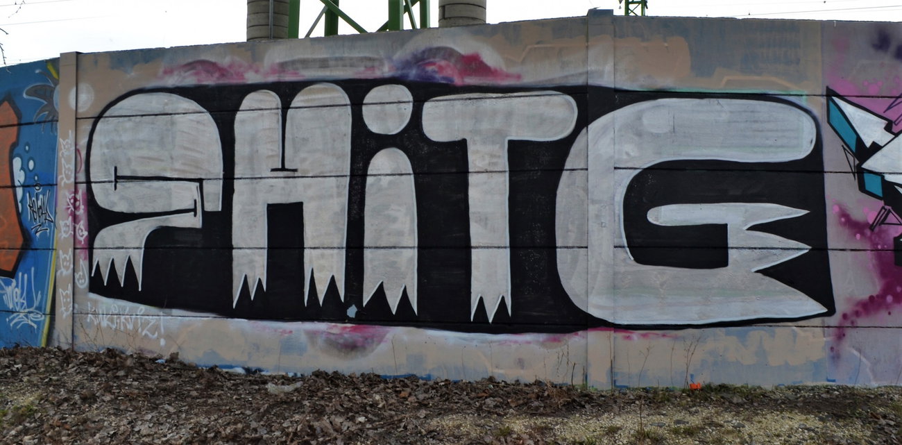 Graffiti Wall - Photo by dirtyartterror - shitg (2017)