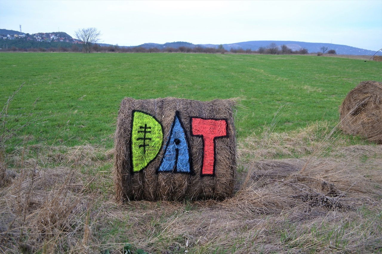 Graffiti Artwork - Photo by dirtyartterror - dat, hungary (2017)